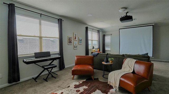 520 Elm Green St, Hutto, TX 78634 - sitting room with carpet and baseboards