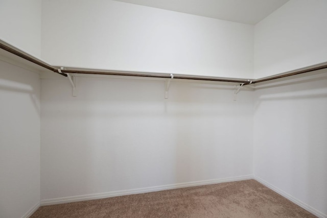 13804 Mark Christopher Way, Manor, TX 78653 - photo 19