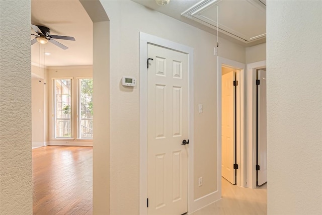 6411 Abilene Trl, Austin, TX 78749 - hallway with attic access, wood finished floors, arched walkways, a textured wall, and crown molding