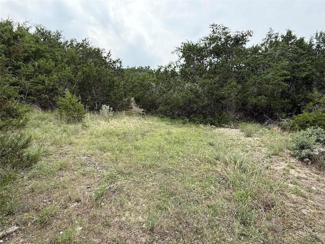22307 Shotts Dr, Spicewood, TX 78669