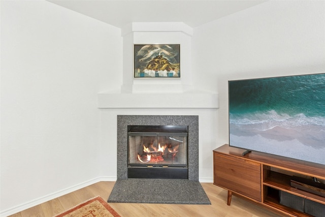 11208 Midbury Ct, Austin, TX 78748 - detailed view of wood finished floors, a glass covered fireplace, and baseboards