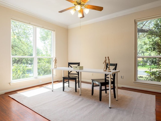 2009 Saint Andrews Dr, Round Rock, TX 78664 - office space featuring plenty of natural light, crown molding, wood finished floors, and a ceiling fan