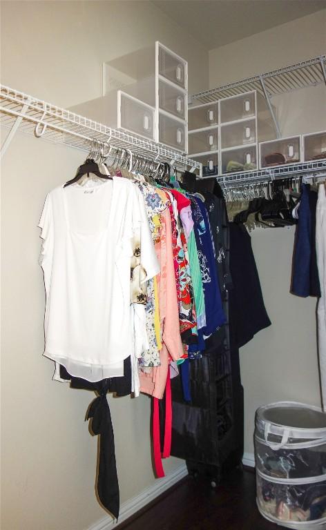 3707 Tall Cedars Rd, Cedar Park, TX 78613 - view of spacious closet