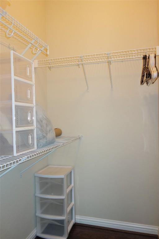 3707 Tall Cedars Rd, Cedar Park, TX 78613 - view of spacious closet