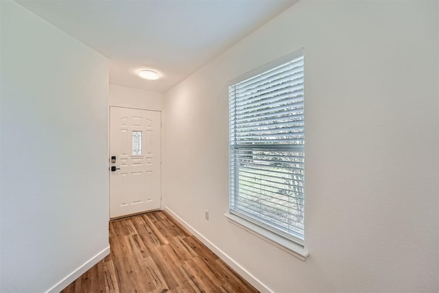 12404 Campana Dr, Del Valle, TX 78617 - entryway with healthy amount of natural light and light wood-style floors