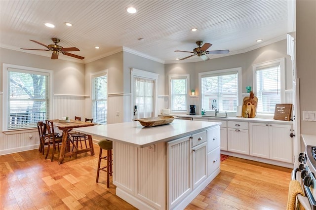2113 Brooklyn St, Austin, TX 78704 - kitchen with a ceiling fan, a sink, light countertops, wainscoting, and recessed lighting
