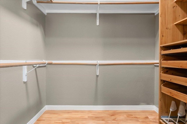 509 Oak Park Dr, Round Rock, TX 78681 - walk in closet featuring light wood-style flooring
