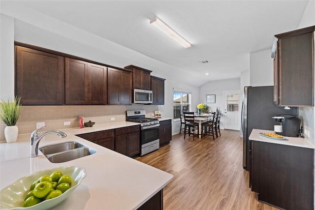 1003 Ascari Ct, Hutto, TX 78634 - kitchen with stainless steel appliances, a sink, dark brown cabinetry, and light countertops