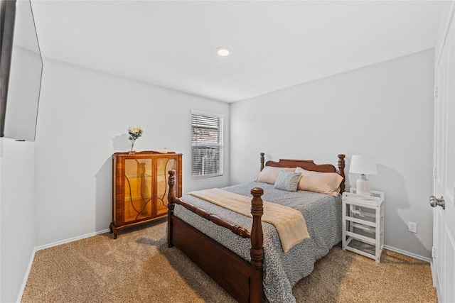 1003 Ascari Ct, Hutto, TX 78634 - bedroom featuring carpet floors and baseboards
