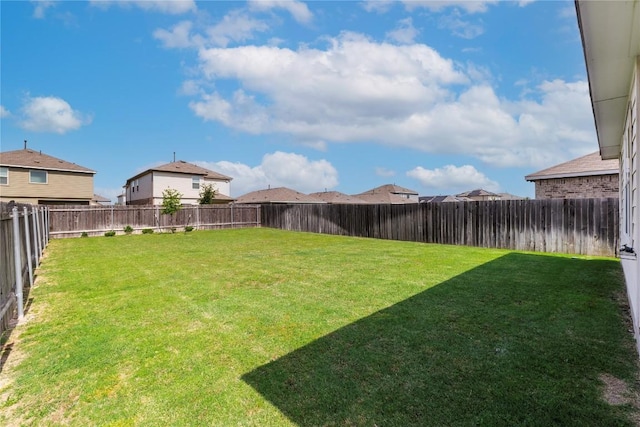 1003 Ascari Ct, Hutto, TX 78634 - view of yard