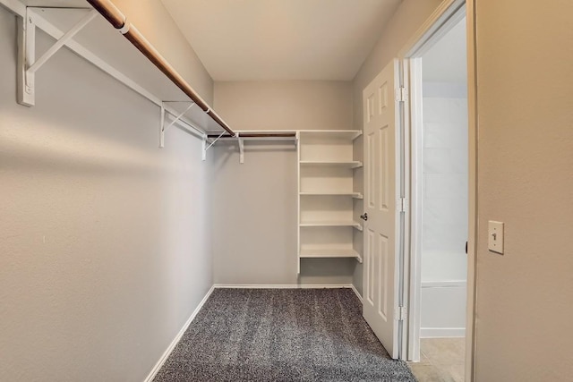 9001 China Rose Dr, Austin, TX 78724 - walk in closet featuring light carpet