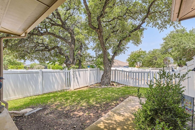 1007 Big Spring Dr, Cedar Park, TX 78613 - view of yard with a patio area