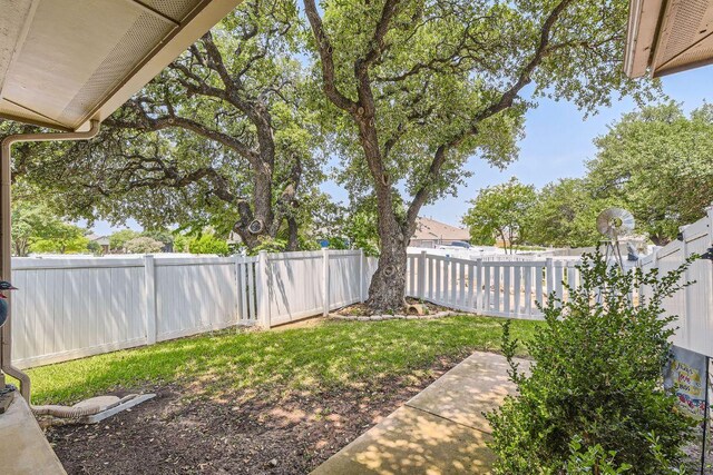 1007 Big Spring Dr, Cedar Park, TX 78613 - view of yard featuring a patio