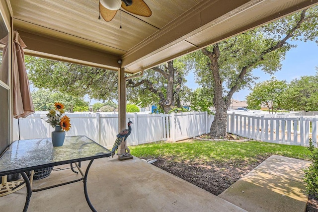 1007 Big Spring Dr, Cedar Park, TX 78613 - fenced backyard featuring a patio and ceiling fan