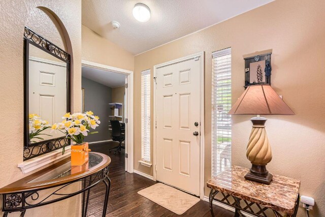 1007 Big Spring Dr, Cedar Park, TX 78613 - foyer entrance featuring dark wood-style flooring, lofted ceiling, a textured wall, and baseboards