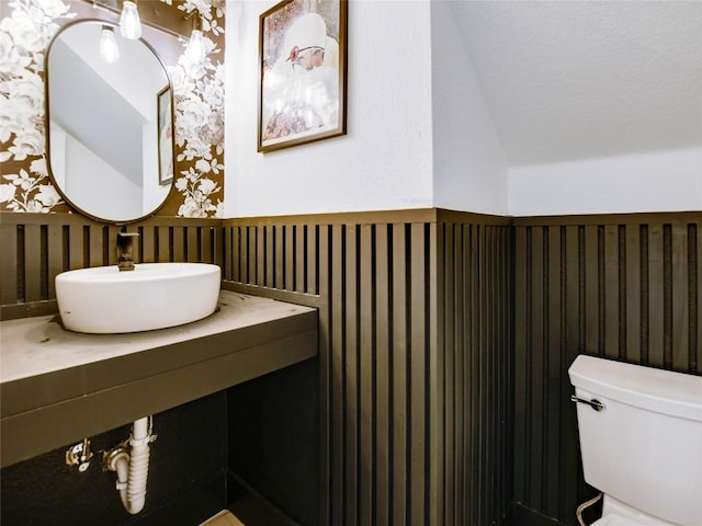 4109 Moss Hollow Dr, Round Rock, TX 78681 - bathroom with wallpapered walls, toilet, vanity, and lofted ceiling