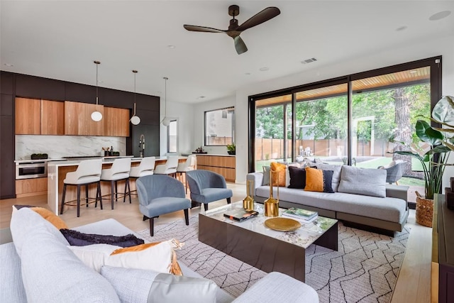 2807 Garwood St, Austin, TX 78702 - living room featuring healthy amount of natural light, ceiling fan, and light wood-type flooring