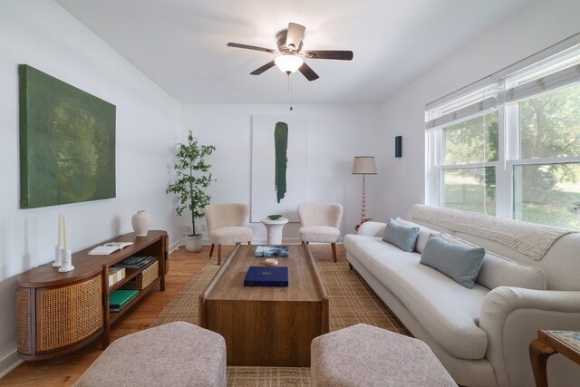 3303 S Oak Dr, Austin, TX 78704 - photo 5