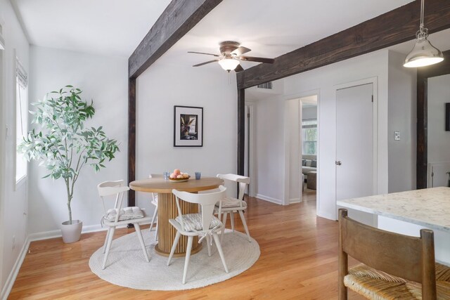 3303 S Oak Dr, Austin, TX 78704 - photo 8