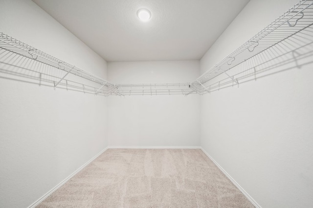 128 Rock Nettle, New Braunfels, TX 78130 - walk in closet featuring carpet floors