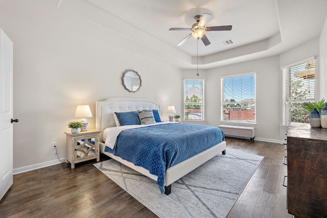 2313 Legend Hill Dr, Leander, TX 78641 - bedroom with a raised ceiling, multiple windows, and wood finished floors