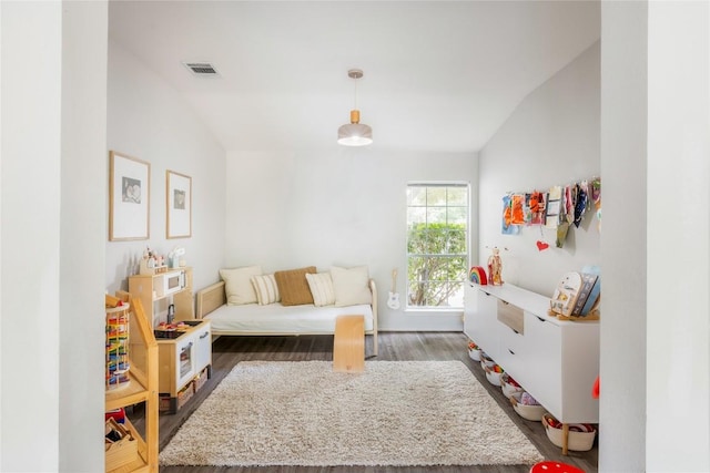 8908 Campo Verde Ct, Austin, TX 78749 - bedroom featuring lofted ceiling and wood finished floors