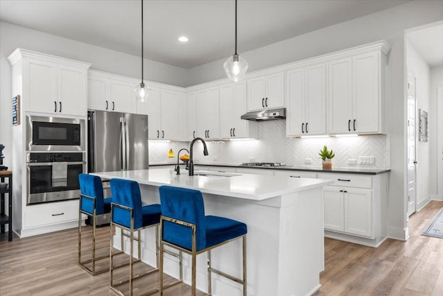 8904 Apogee Blvd, Austin, TX 78744 - kitchen with appliances with stainless steel finishes, under cabinet range hood, a sink, light wood-style floors, and recessed lighting