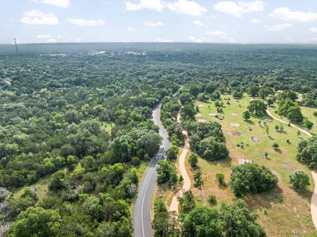 3712 Sawmill Dr, Austin, TX 78749 - bird's eye view of a heavily wooded area
