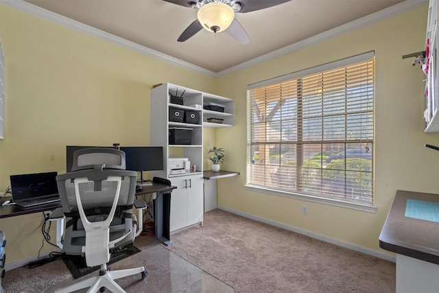 3517 Shellcastle Ln, Round Rock, TX 78681 - office with crown molding, a ceiling fan, and carpet flooring