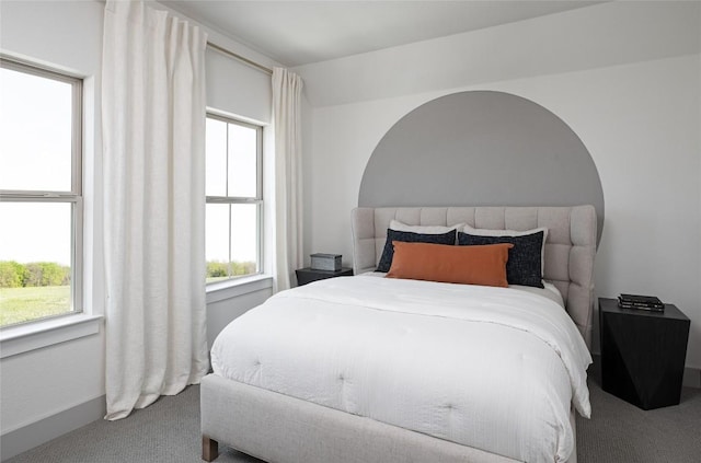 225 Hazy Hills Loop, Dripping Springs, TX 78620 - bedroom with carpet floors and baseboards