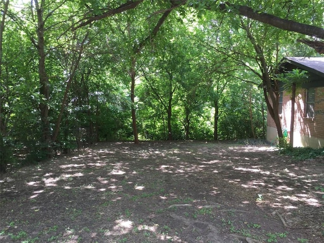 2403 Sherwood Ln, Austin, TX 78704 - view of wooded area