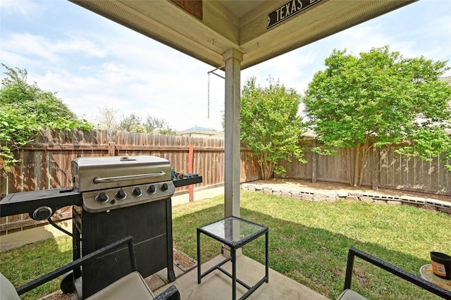 8505 Shallot Way, Austin, TX 78748 - view of patio / terrace featuring area for grilling