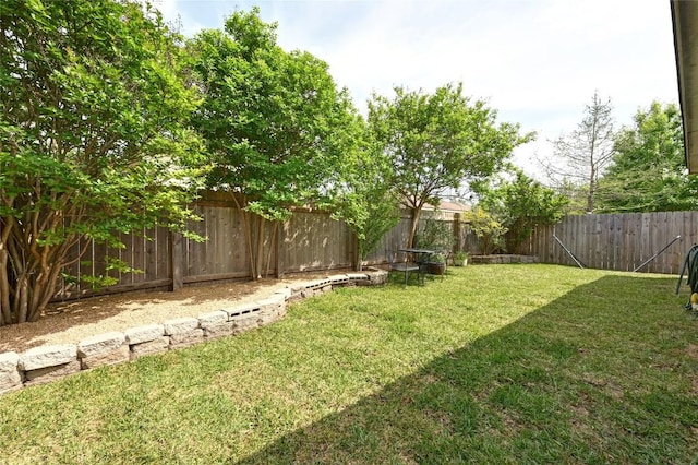 8505 Shallot Way, Austin, TX 78748 - view of yard