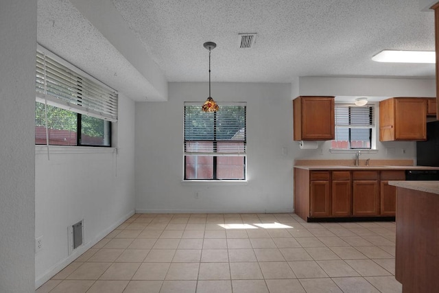5808 Spring Meadow Rd, Austin, TX 78744 - kitchen featuring a sink, brown cabinetry, plenty of natural light, and a textured ceiling