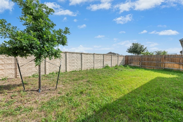 4203 Birdwatch Loop Unit 14, Pflugerville, TX 78660 - view of fenced backyard