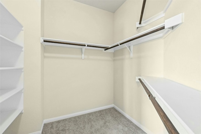 4203 Birdwatch Loop Unit 14, Pflugerville, TX 78660 - spacious closet with carpet flooring