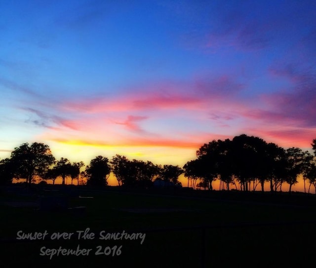 309 Stolle Ln, Flatonia, TX 78941 - water view
