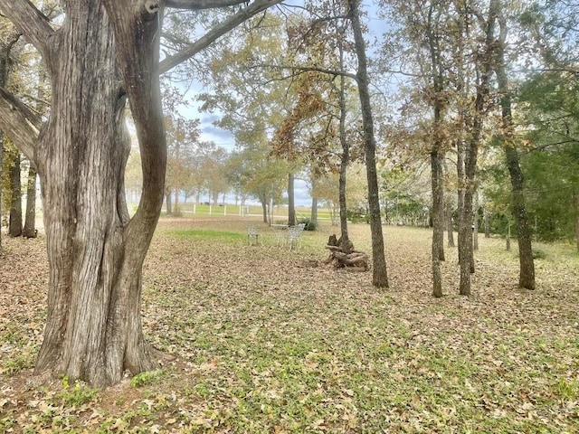 309 Stolle Ln, Flatonia, TX 78941 - view of yard