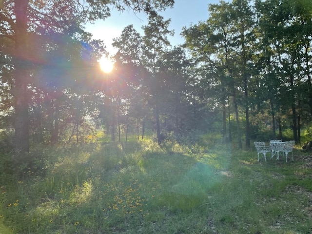 309 Stolle Ln, Flatonia, TX 78941 - view of undeveloped land