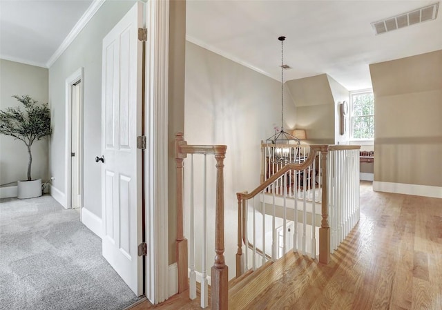 303 Rio Bravo Rd, Georgetown, TX 78628 - photo 25