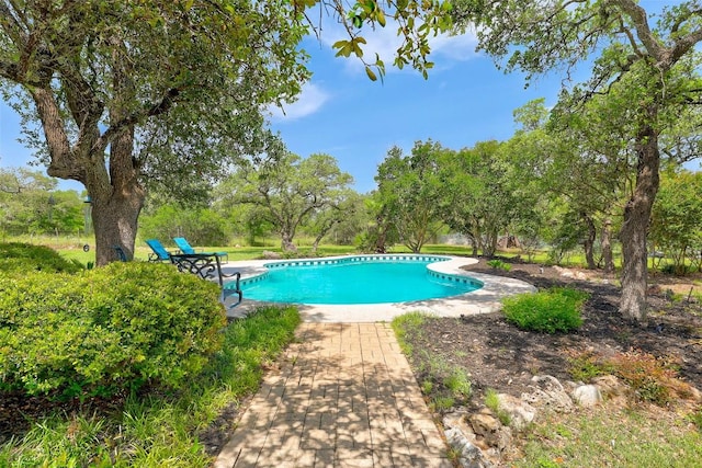 303 Rio Bravo Rd, Georgetown, TX 78628 - swimming pool featuring view of scattered trees