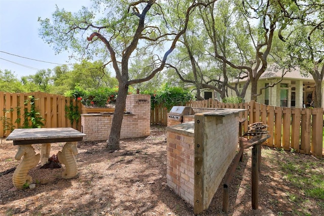 303 Rio Bravo Rd, Georgetown, TX 78628 - view of fenced backyard