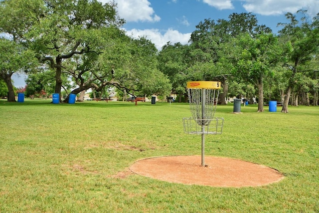 16202 Kicking Bird Dr, Leander, TX 78641 - surrounding community with a lawn