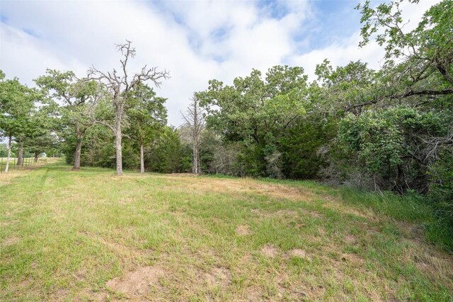 TBD Fm 713 Highway, Rosanky, TX 78953 - photo 8
