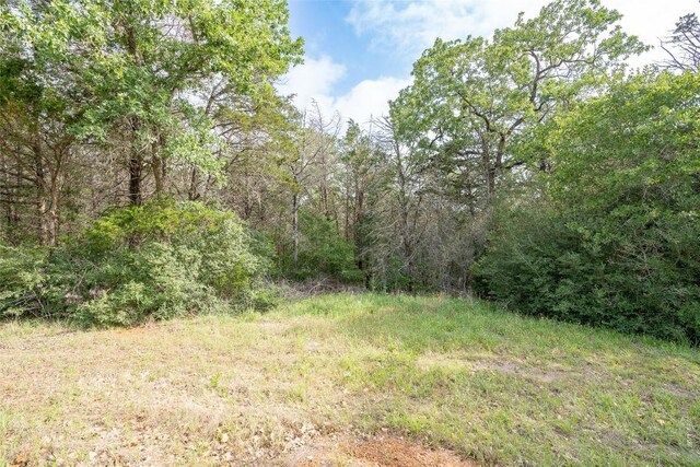 TBD Fm 713 Highway, Rosanky, TX 78953 - photo 10