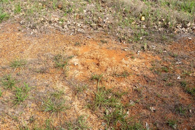 TBD Fm 713 Highway, Rosanky, TX 78953 - photo 13
