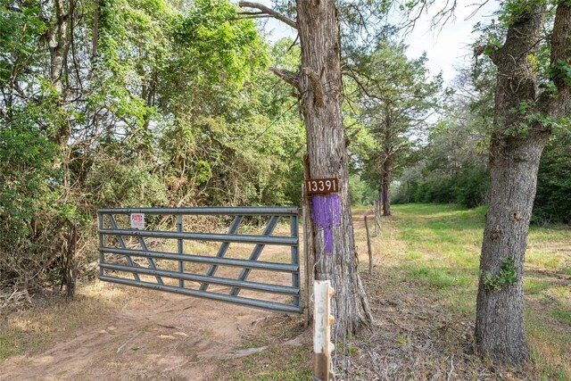 TBD Fm 713 Highway, Rosanky, TX 78953 - photo 14