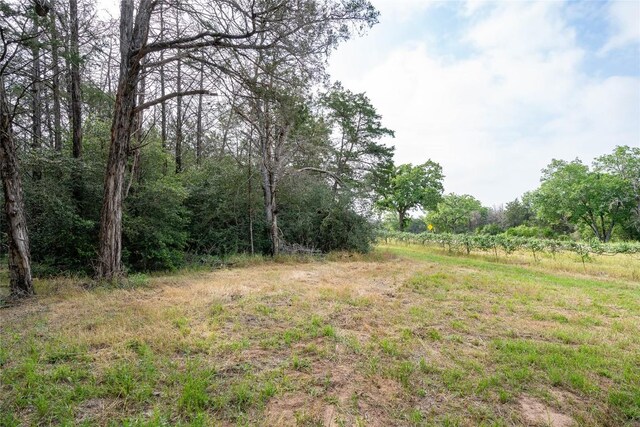 TBD Fm 713 Highway, Rosanky, TX 78953 - photo 15