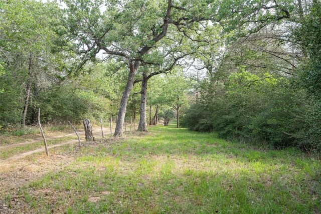 TBD Fm 713 Highway, Rosanky, TX 78953 - photo 6