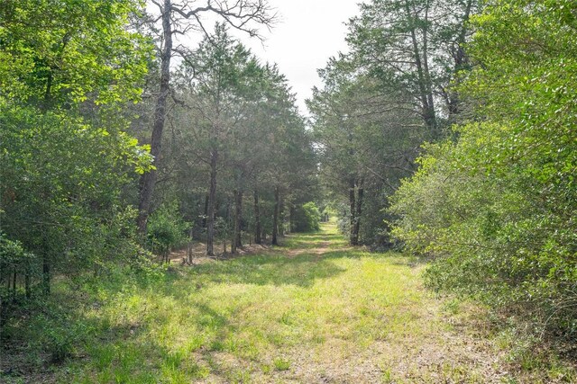 TBD Fm 713 Highway, Rosanky, TX 78953 - photo 7